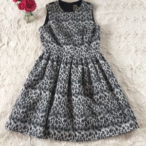 Taylor | Lace Mesh Zipper fit flare  animal print